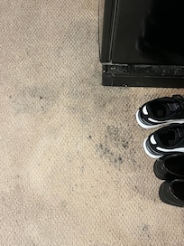Ink stains all over carpet