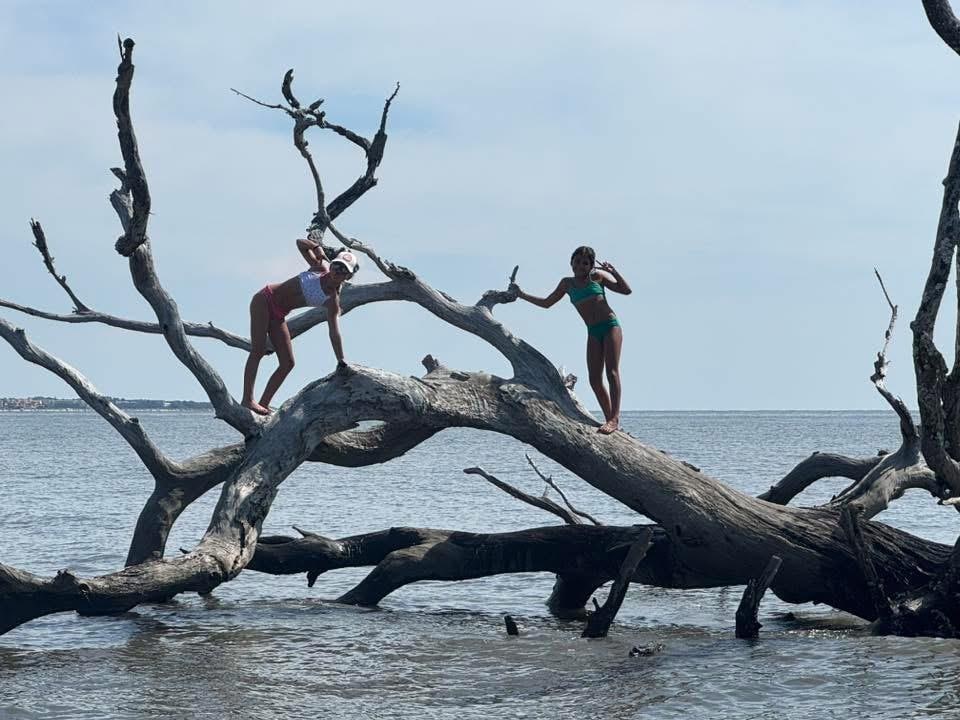 Driftwood Beach amazing!