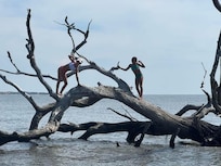Driftwood Beach amazing!