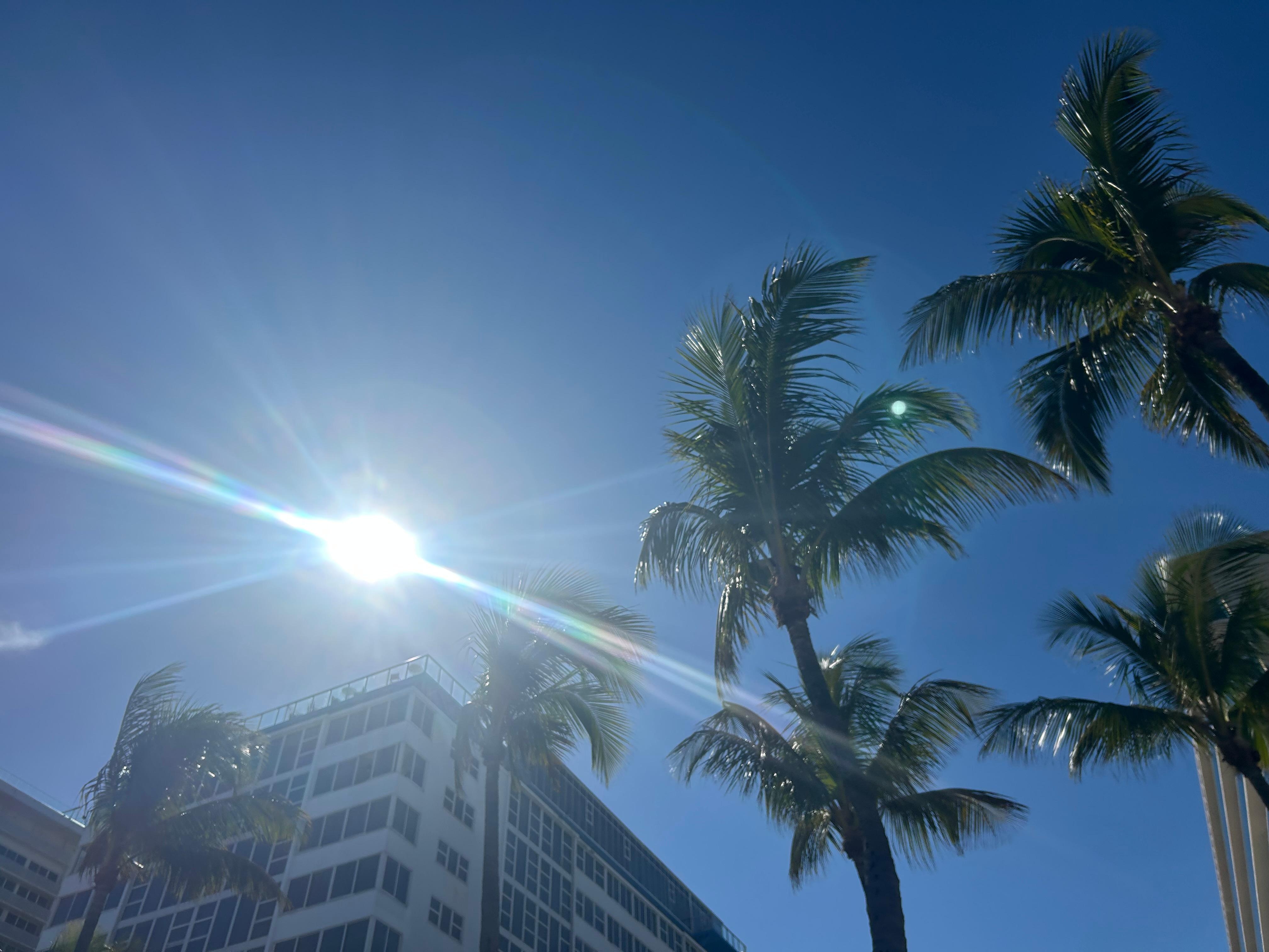 Our view all day everyday from our lounge chair on the deck ☺️