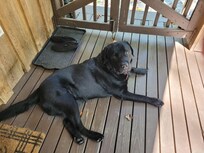 Soul enjoying the outdoors!