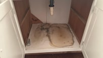 MOLD!!! Not a minor issue!