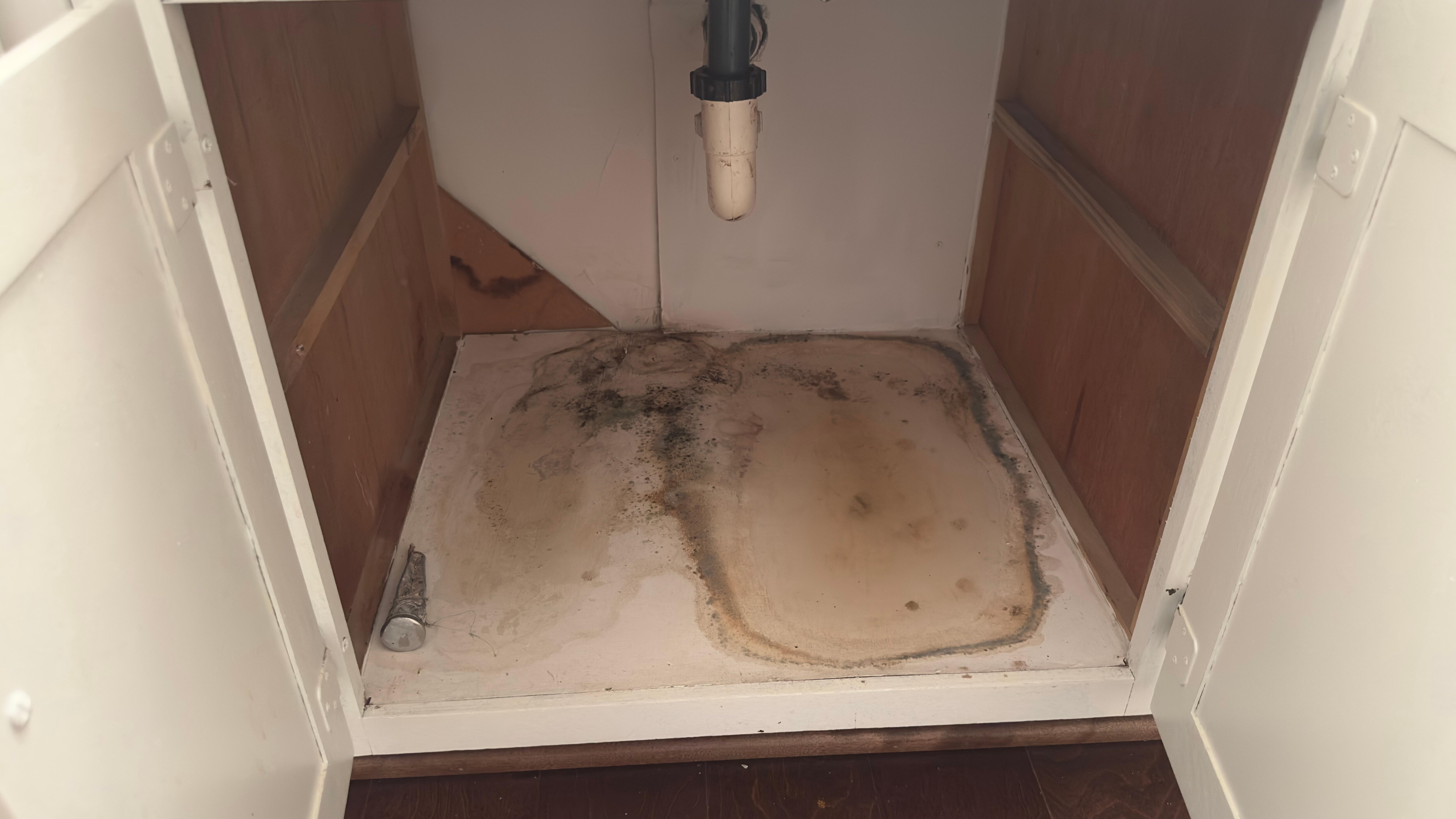 MOLD!!! Not a minor issue!