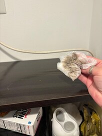 First wipe of only 1 of 3 shelves.