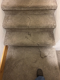 Looks like someone had poured syrup or something on the steps to the lower level. Other than that it was ok