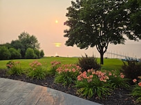Flowers and sunset