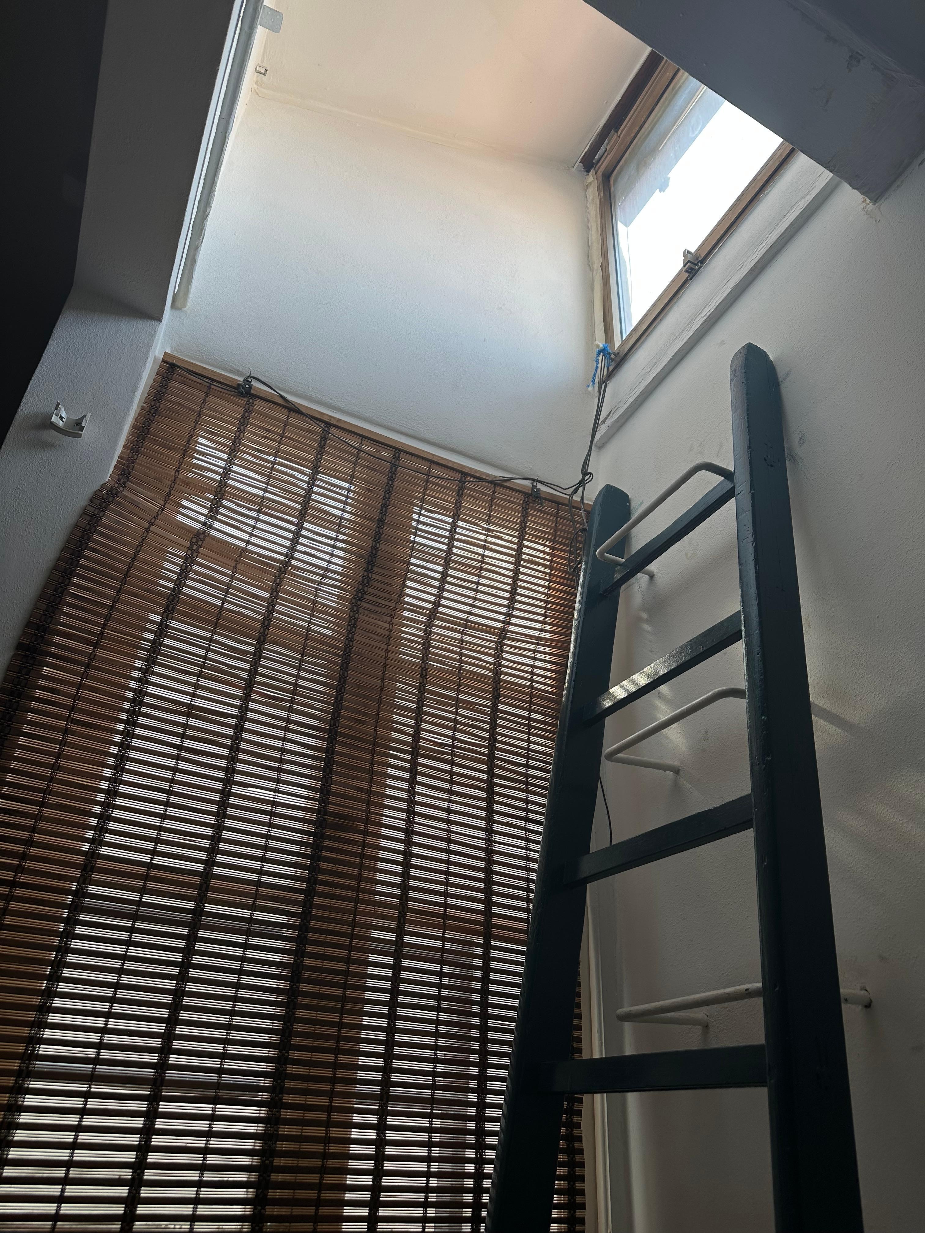 Needs blinds. 