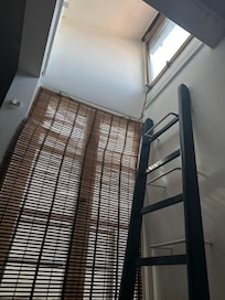Needs blinds.