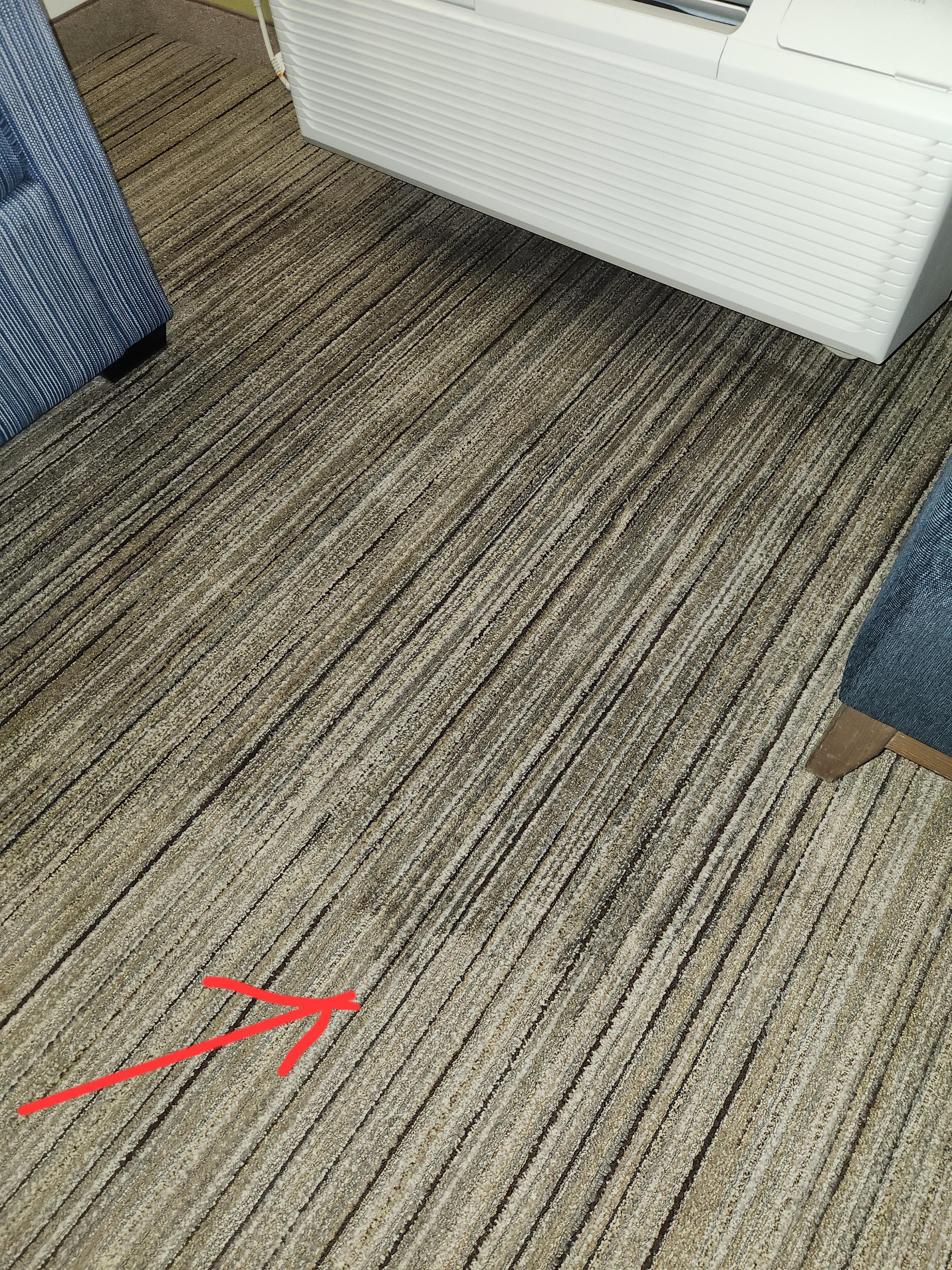 Carpet soaked in water 