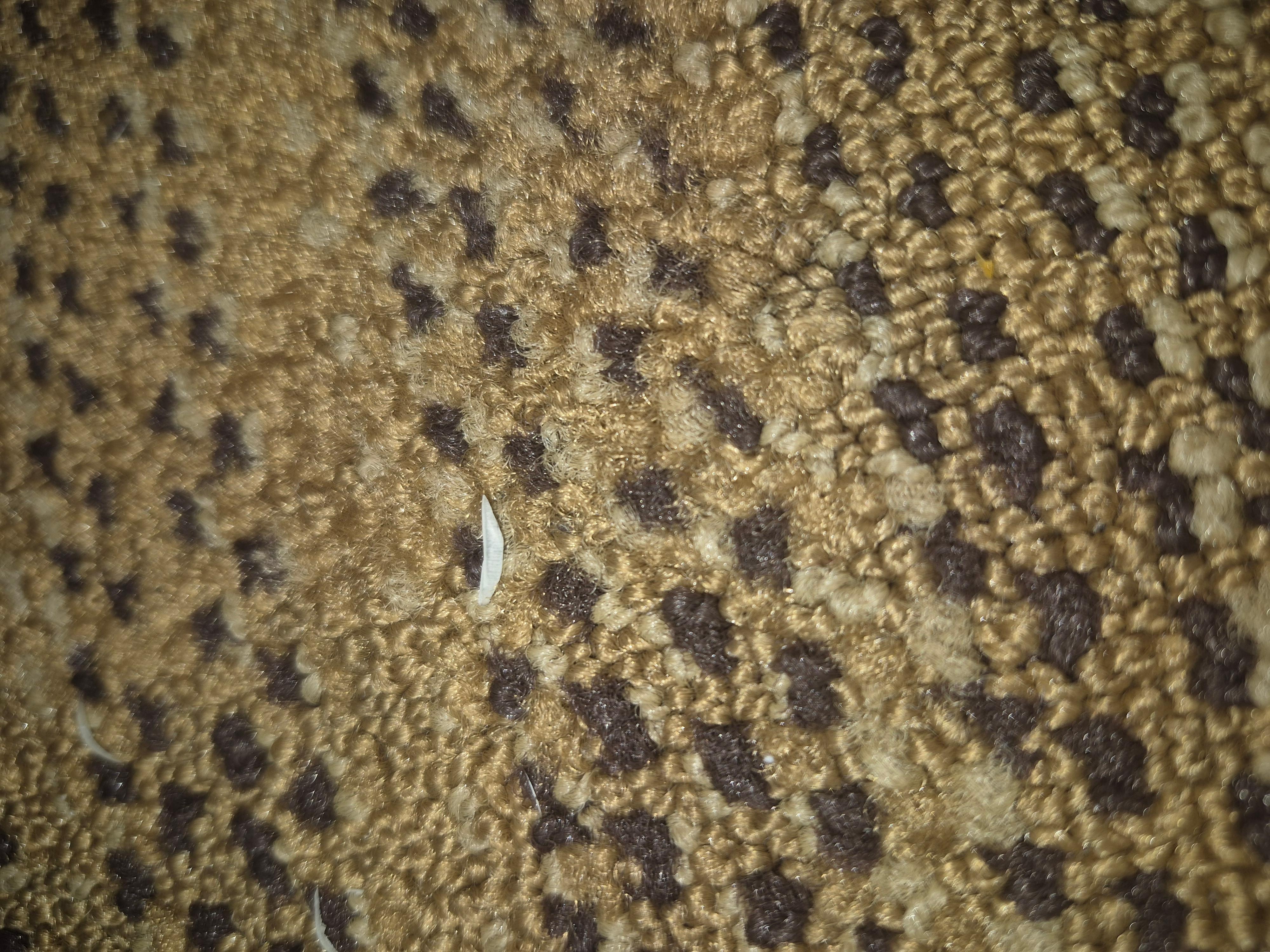 Toe nails 