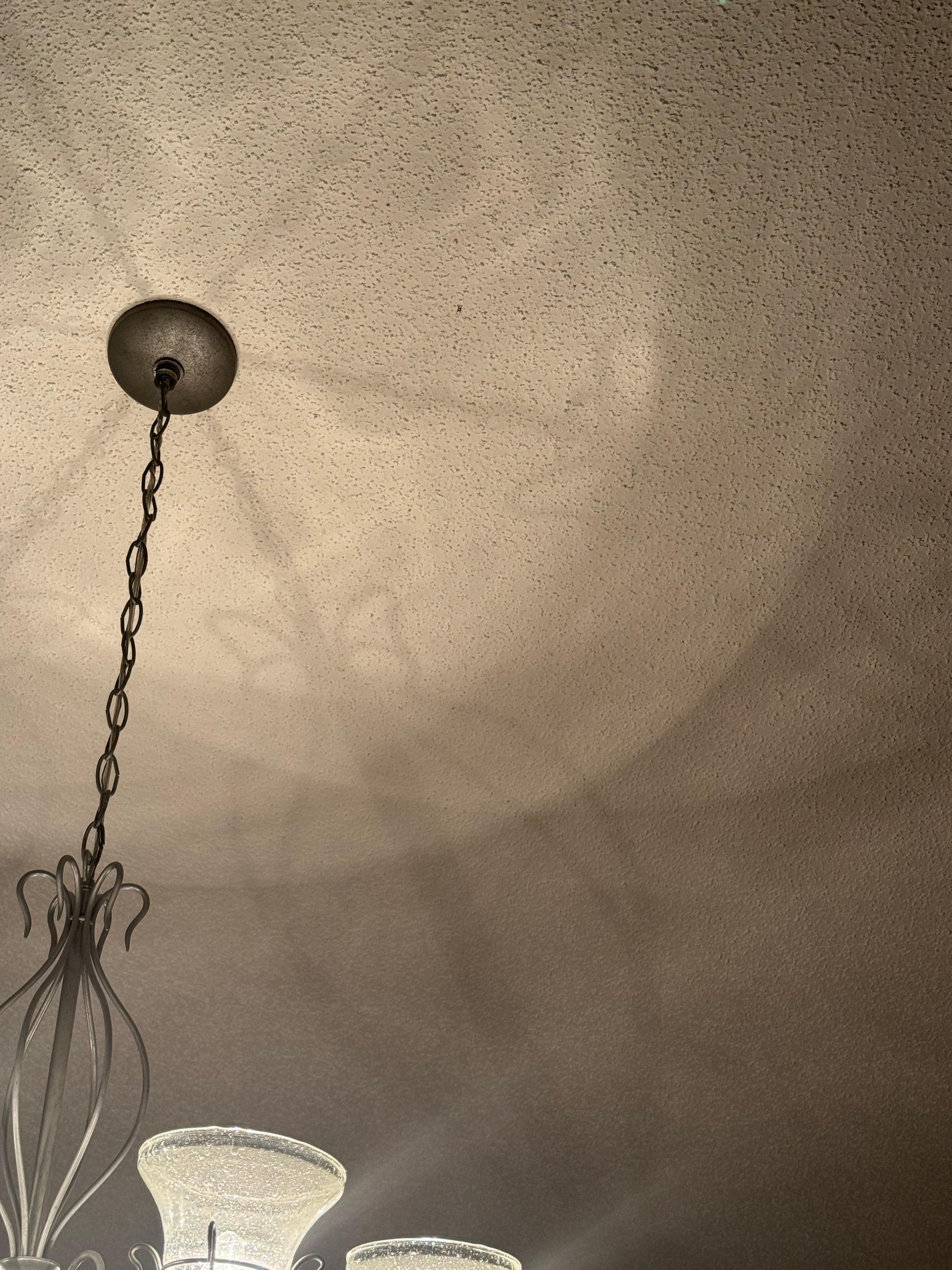 Spiders over the dining table 