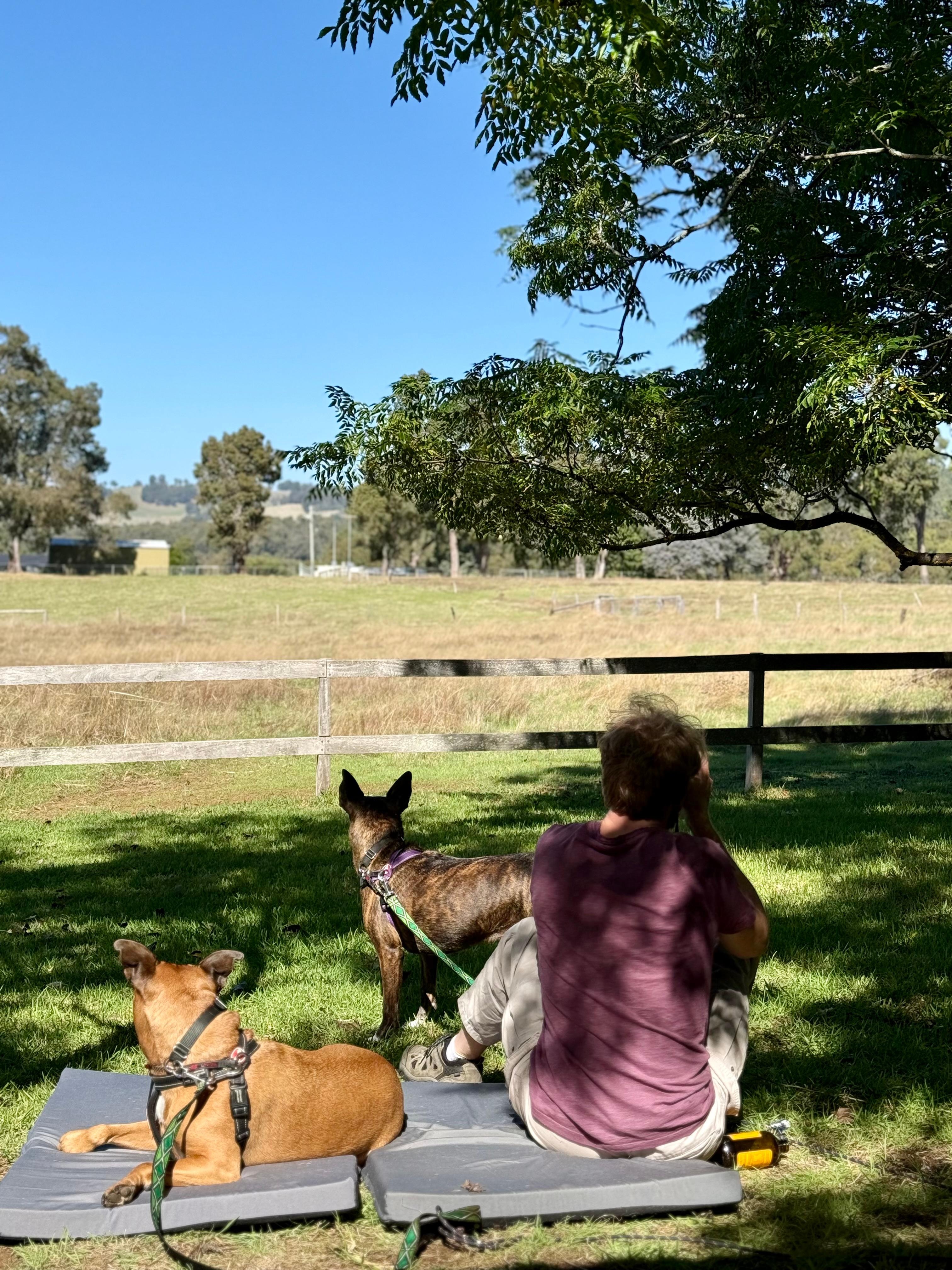 View from the veranda