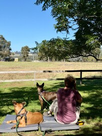 View from the veranda