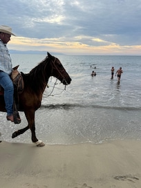 Lots of horses for rent outside our hotel.