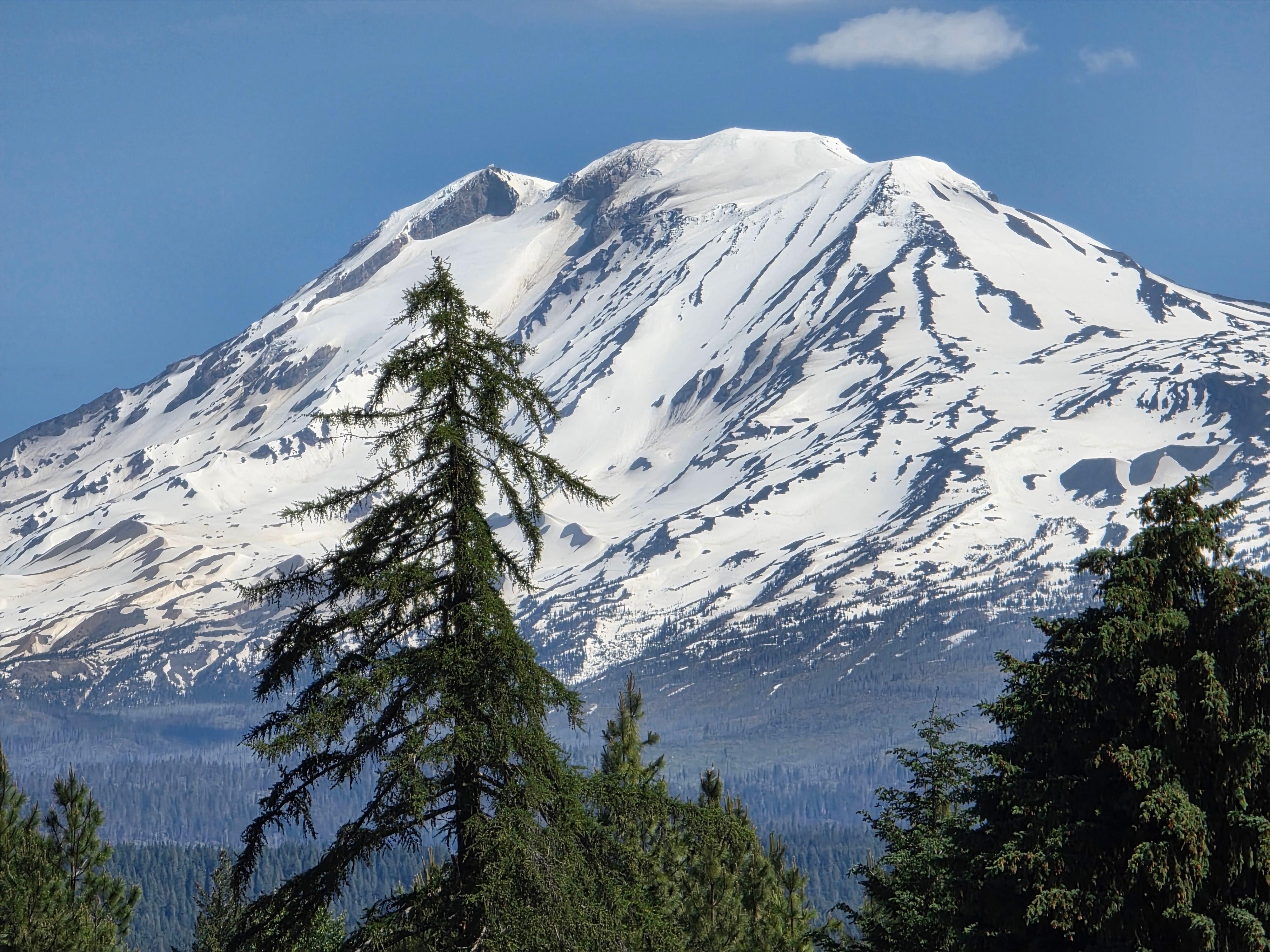 View of Mt Adams