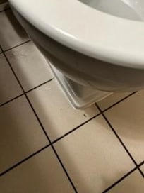 No housekeeping- floors never swept in 5 days
only a 1.2 roll toilet paper when we arrived. No extra roll. had to go find one.