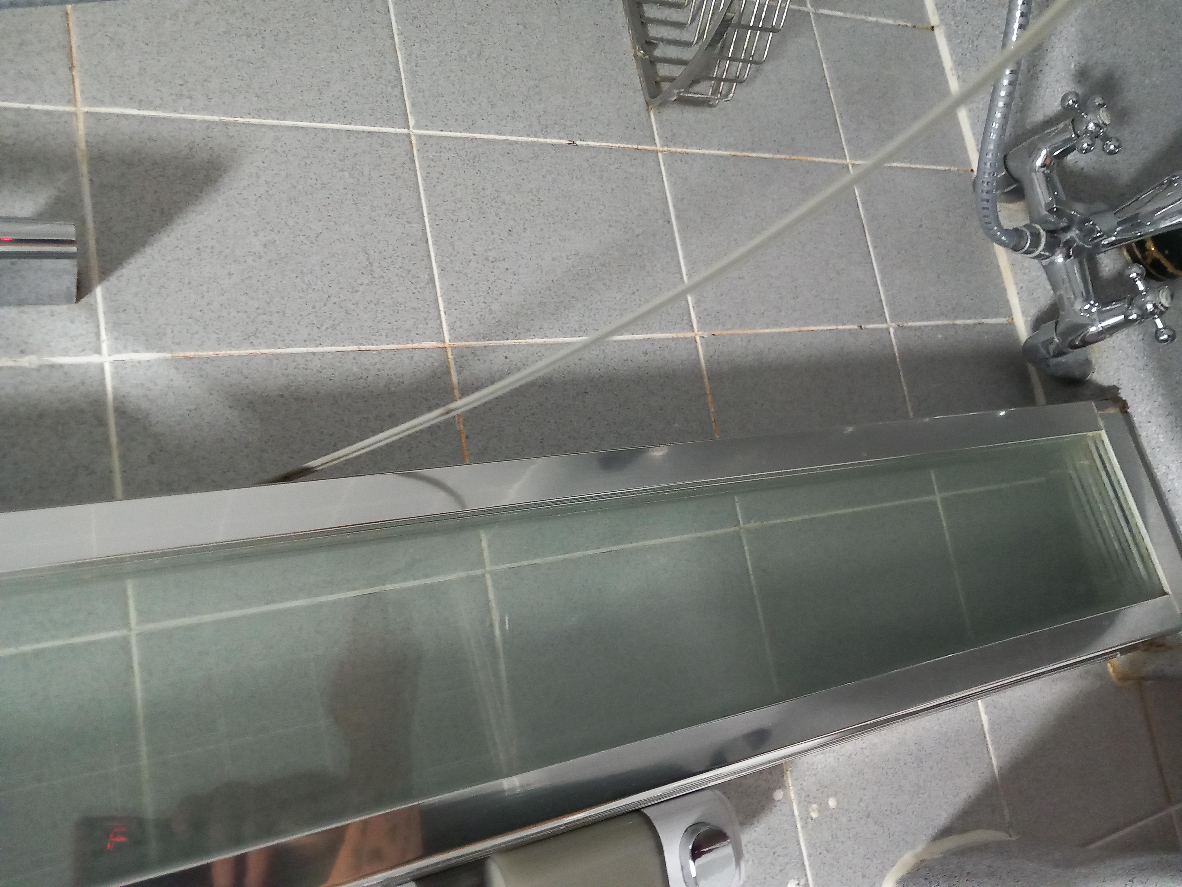 Seal hanging off shower screen 