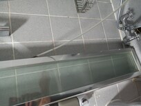 Seal hanging off shower screen