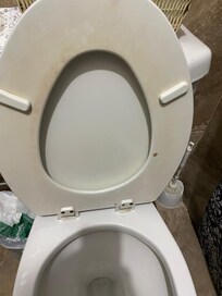 Toilet stains with urine