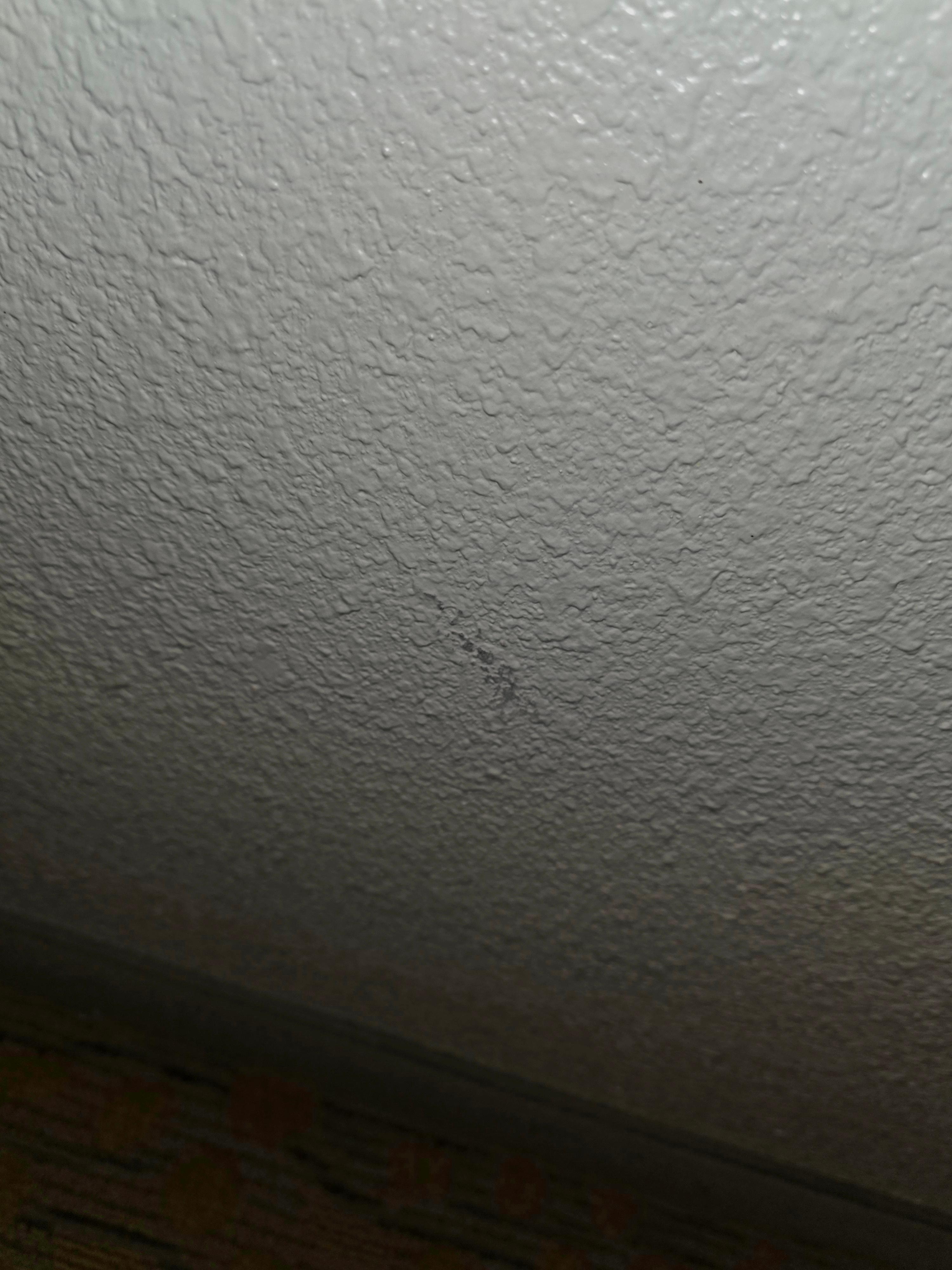 Scuffs all over walls