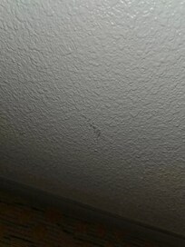 Scuffs all over walls