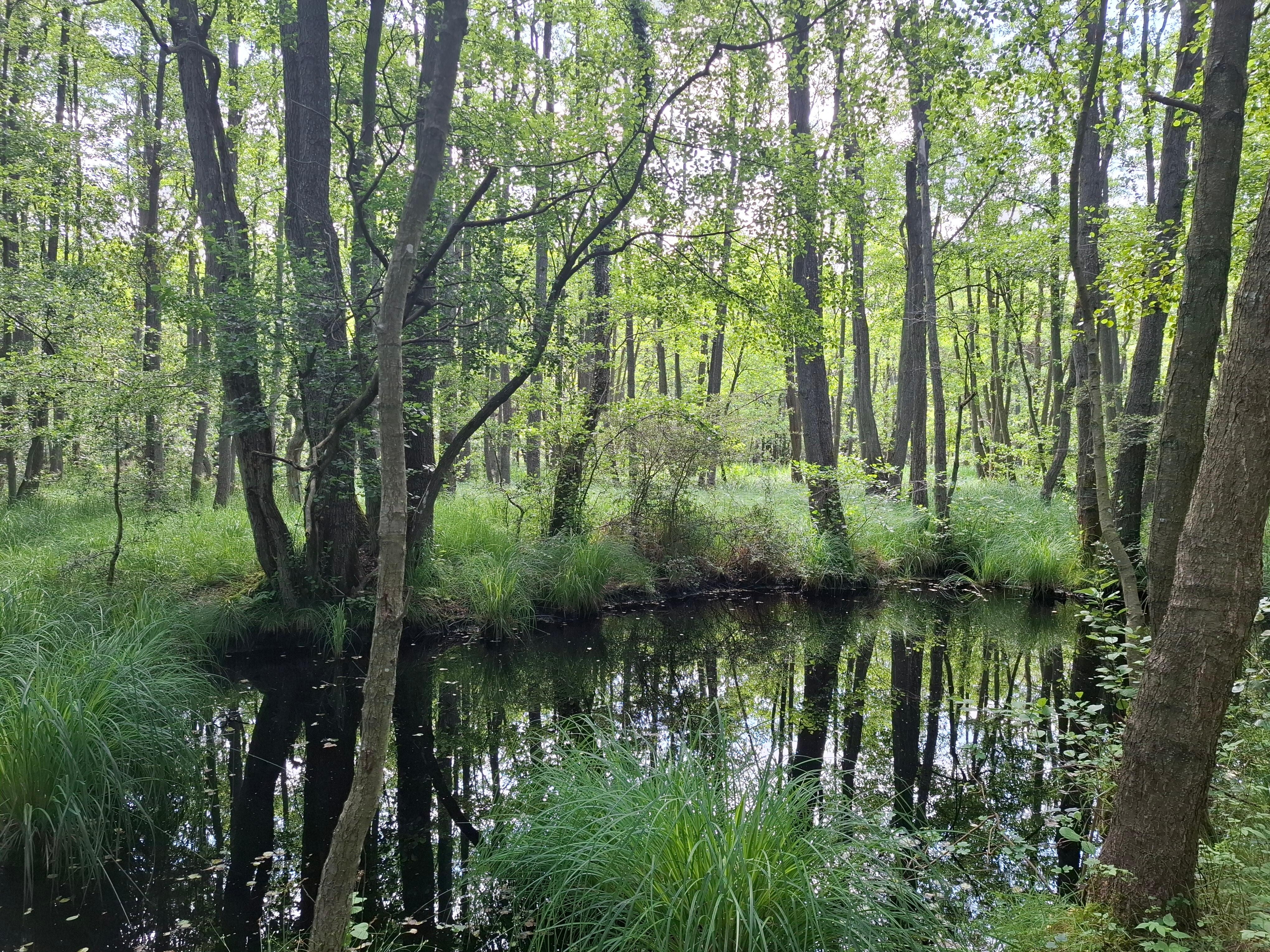 Wanderung durch den Nationalpark 
