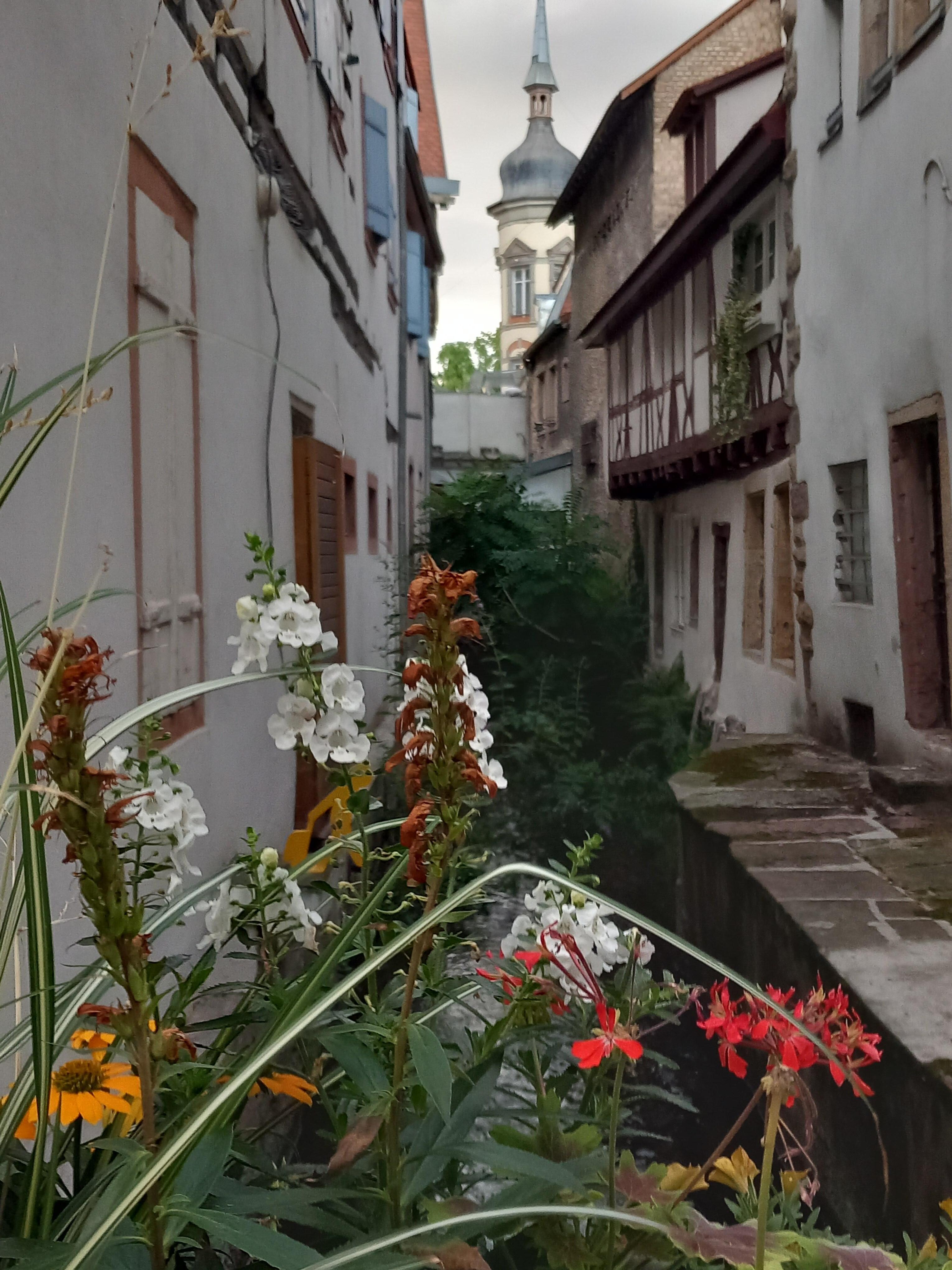 Colmar