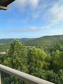 Back porch view!