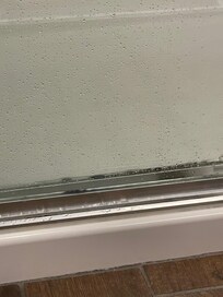 Mold on the shower door