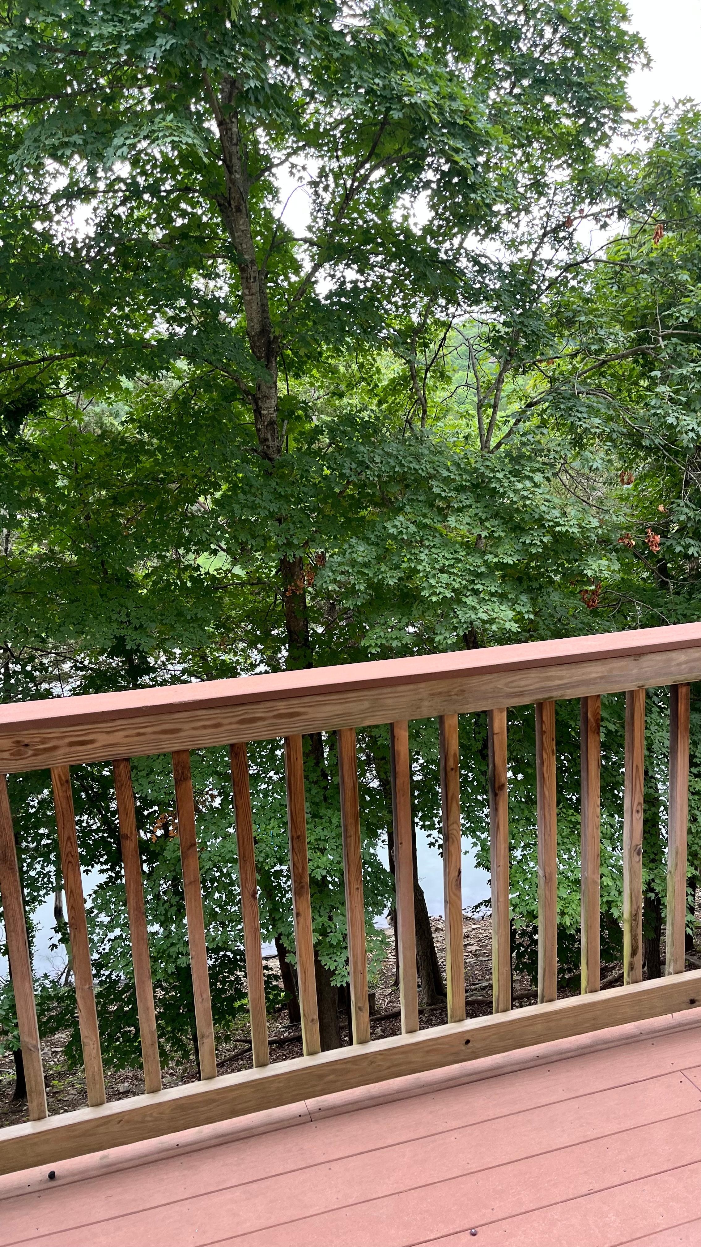 Lake view from deck - trees even blocked the view of fireworks 🥺