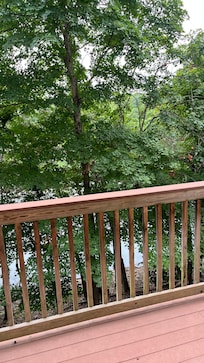 Lake view from deck - trees even blocked the view of fireworks 🥺