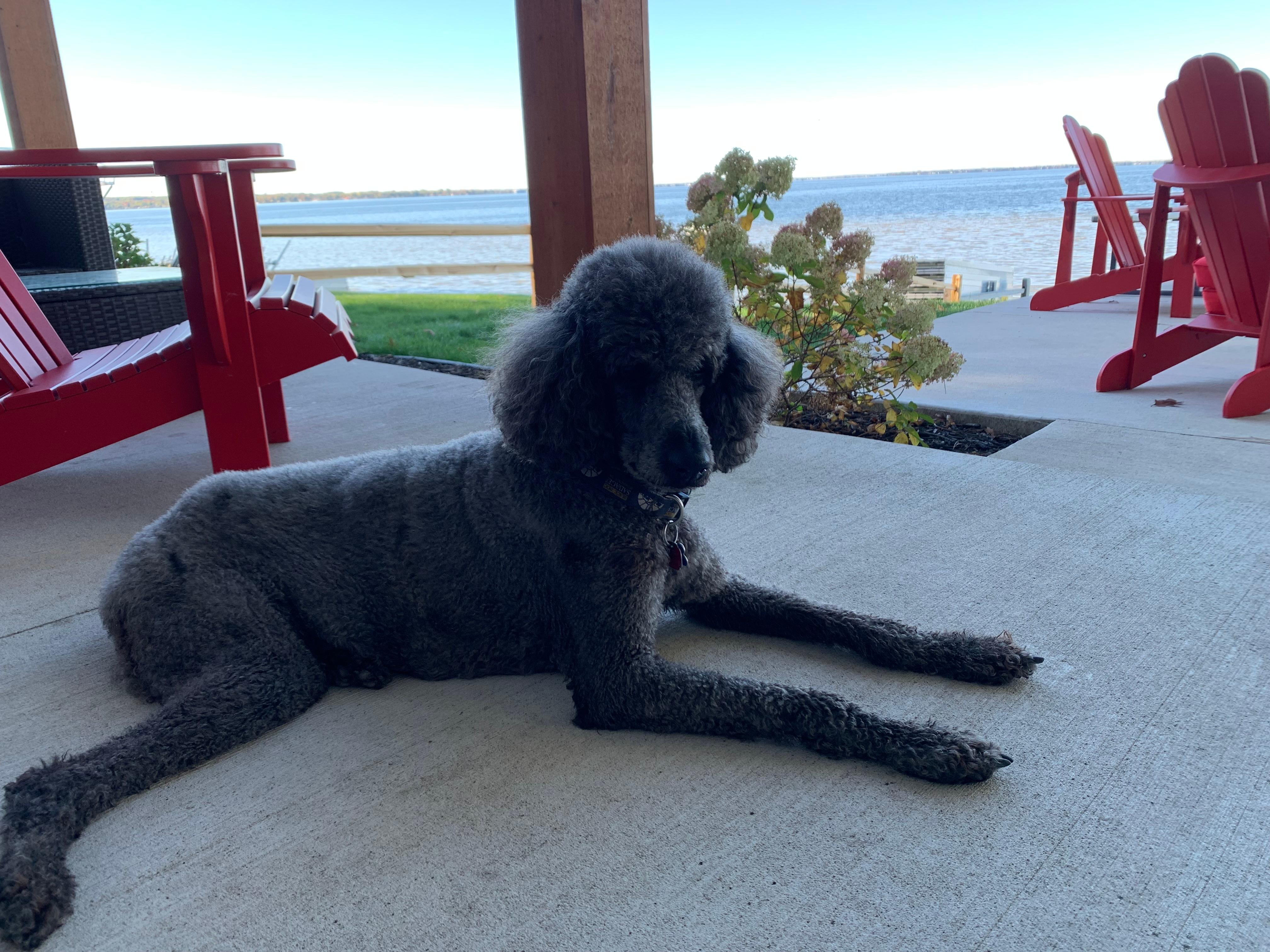 Norman loved the big back porch!