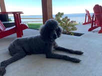 Norman loved the big back porch!