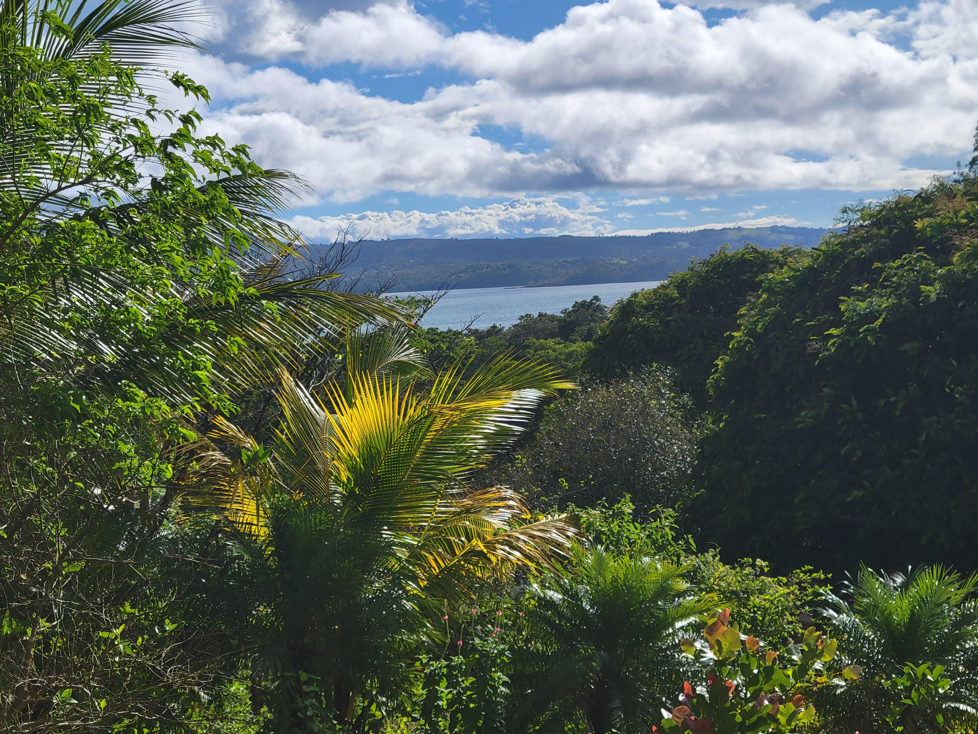 View of lake from front yard.