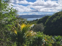 View of lake from front yard.