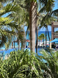 View from patio