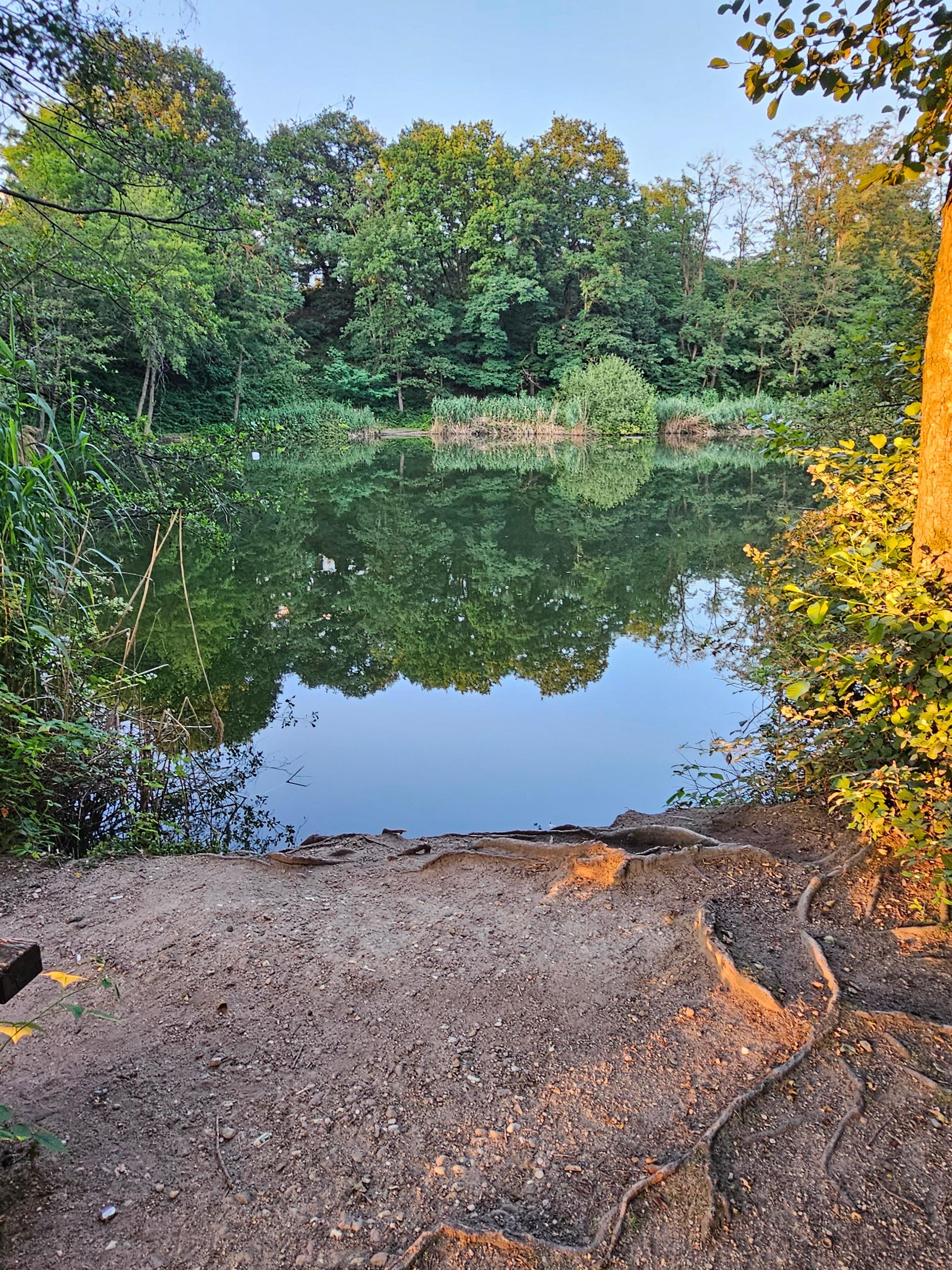 Area behind the hotel