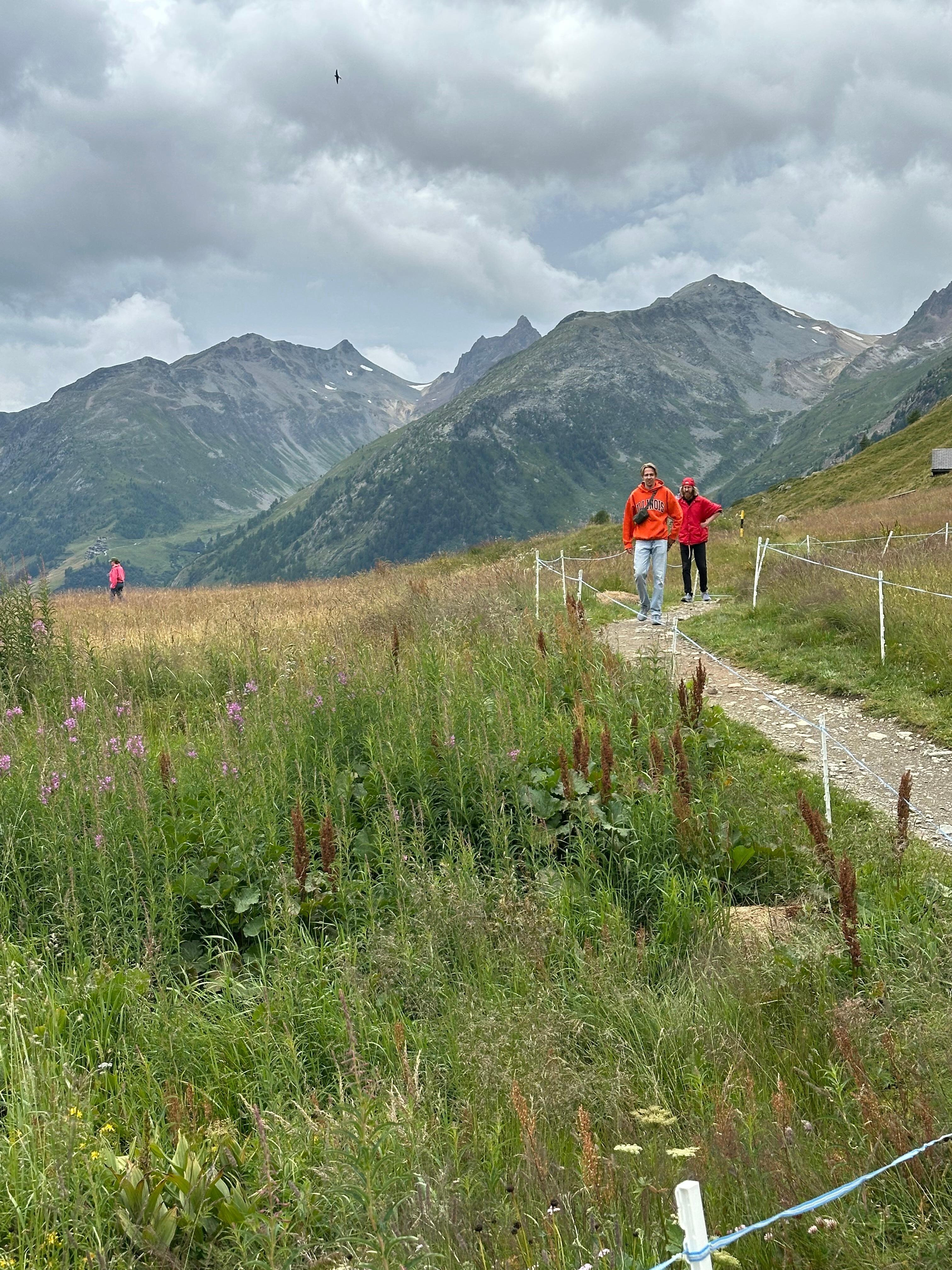Mountain hike