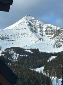 The view from one of the living room windows!