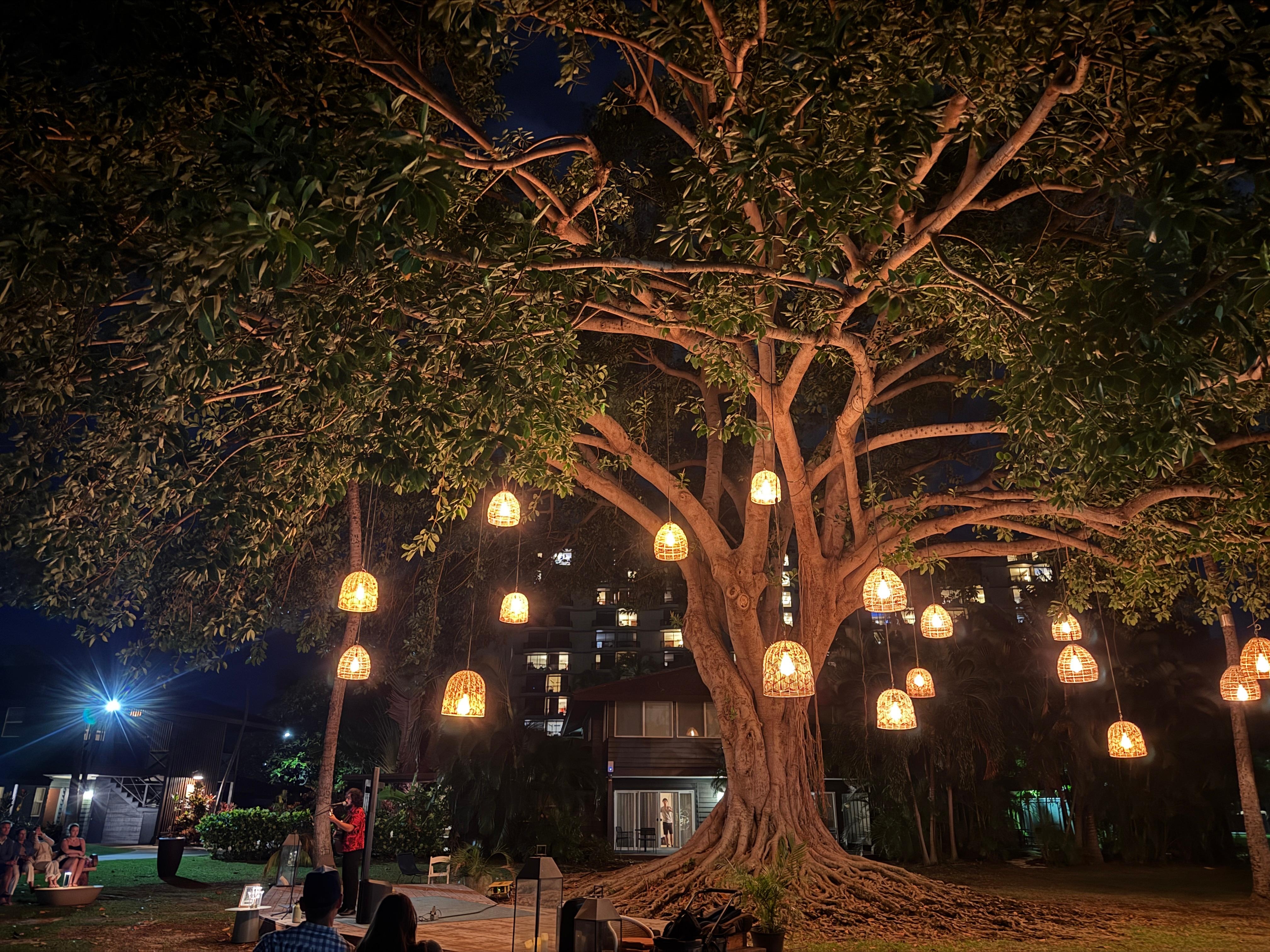 Branches is beautiful. One of the reasons we chose to stay here. 