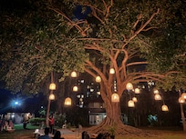 Branches is beautiful. One of the reasons we chose to stay here.