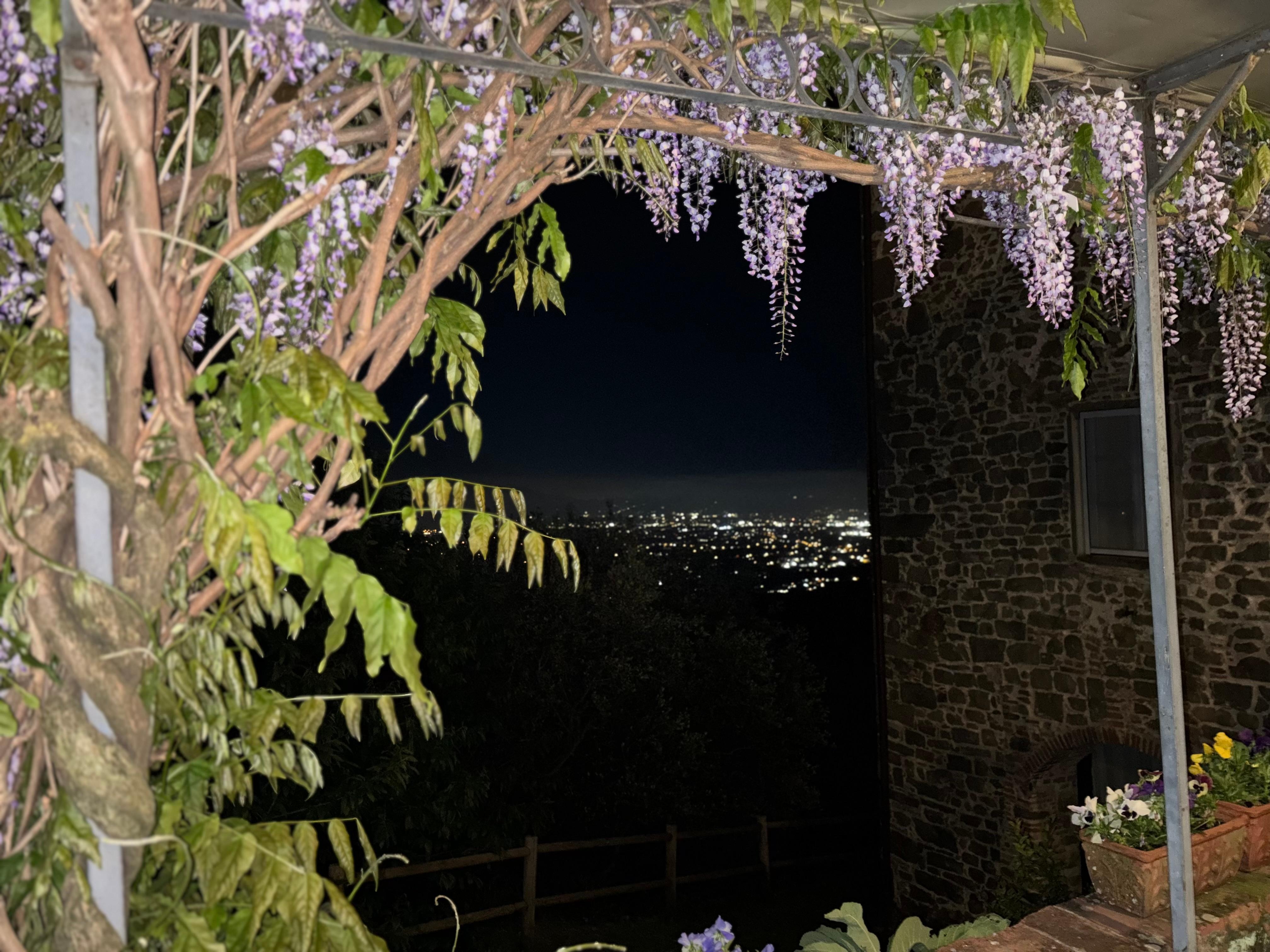 Beautiful city light views at night. I’m sorry but pictures don’t show the true beauty. 