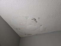 Mold
