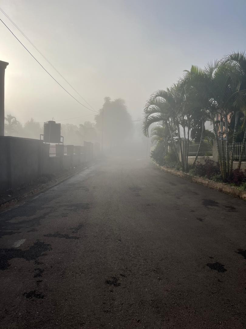 Morning Fog. It gets really cold at night and early in the morning 