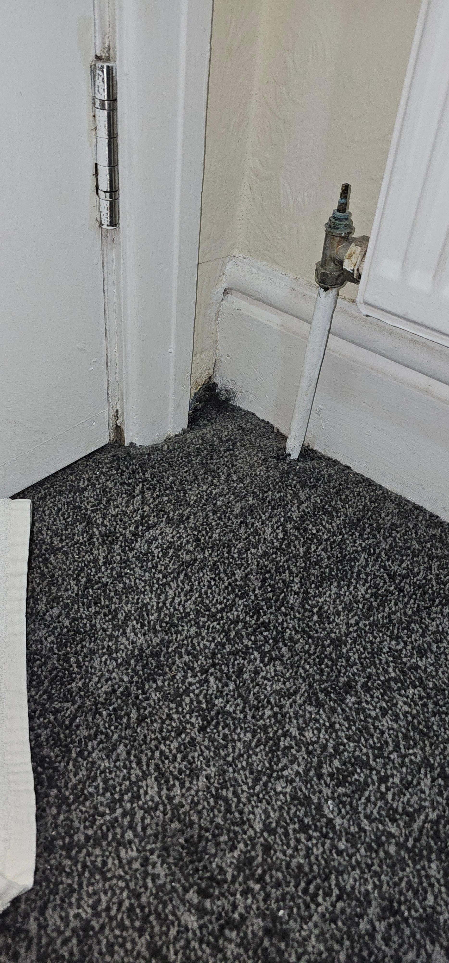 I don't have black hair! 