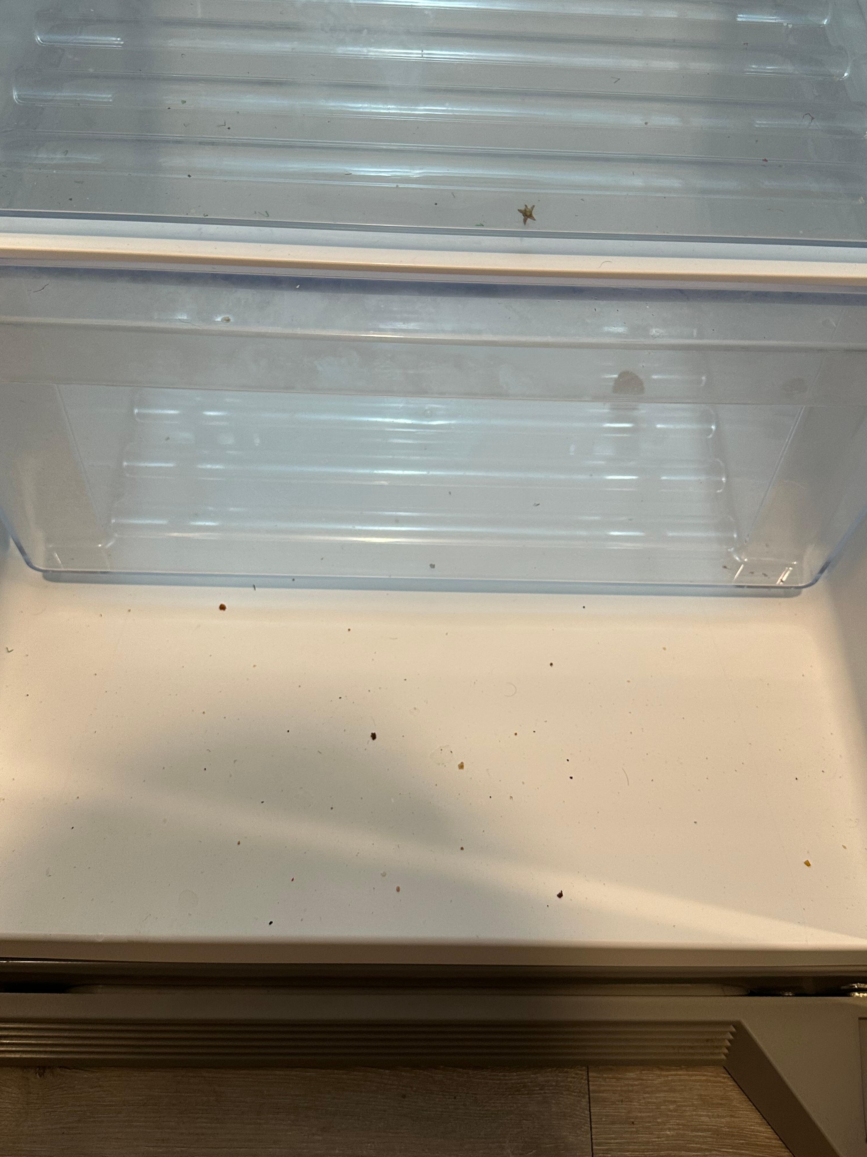 refrigerator not clean. Food crumbs
