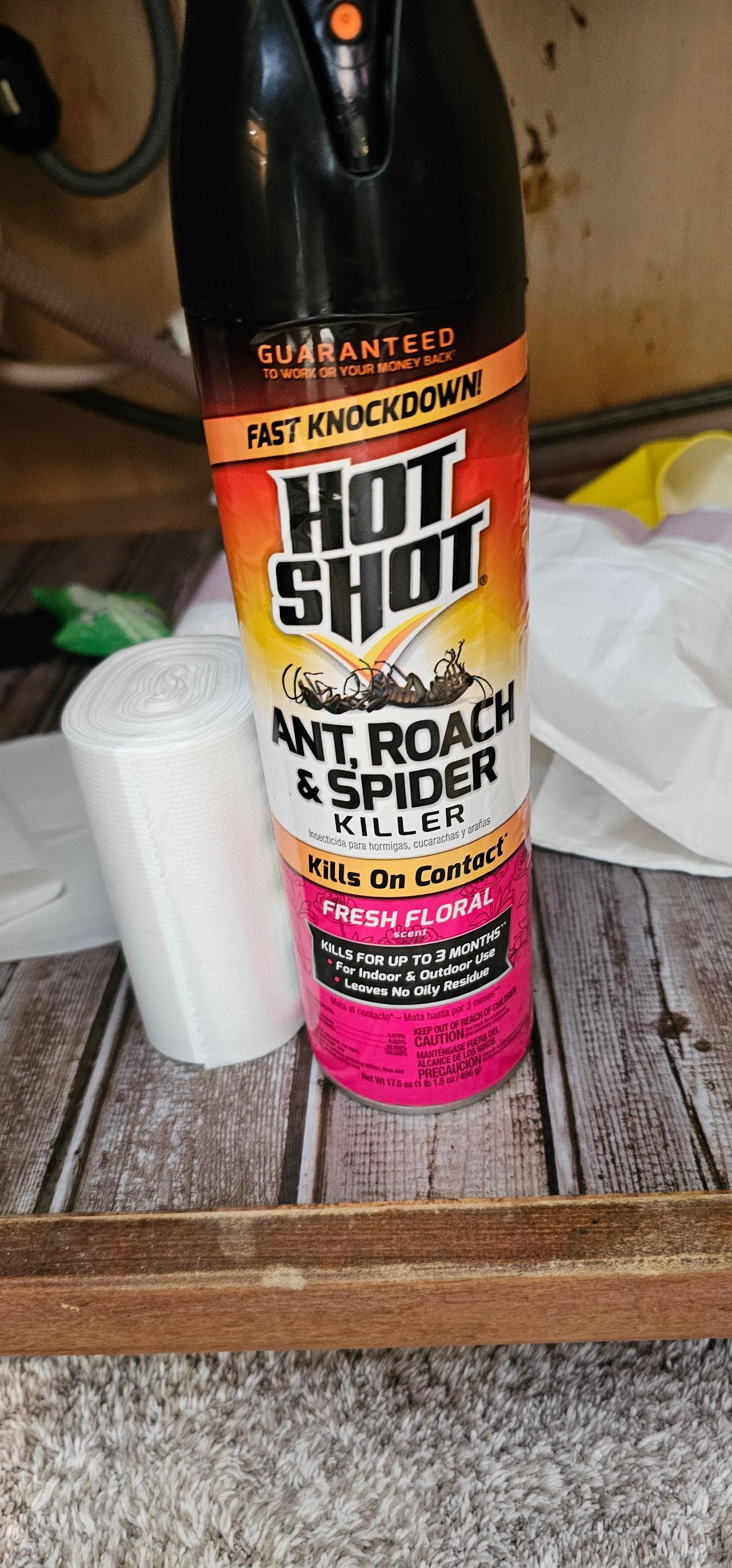 Almost empty can of ant, roach and spider spray under the kitchen sink.