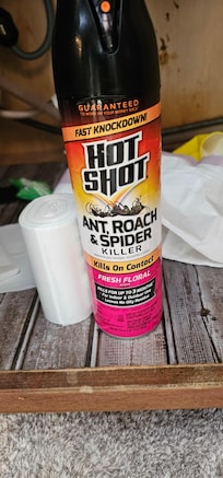 Almost empty can of ant, roach and spider spray under the kitchen sink.