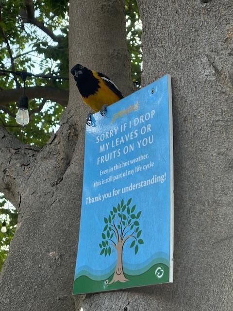 Breakfast at golf course
