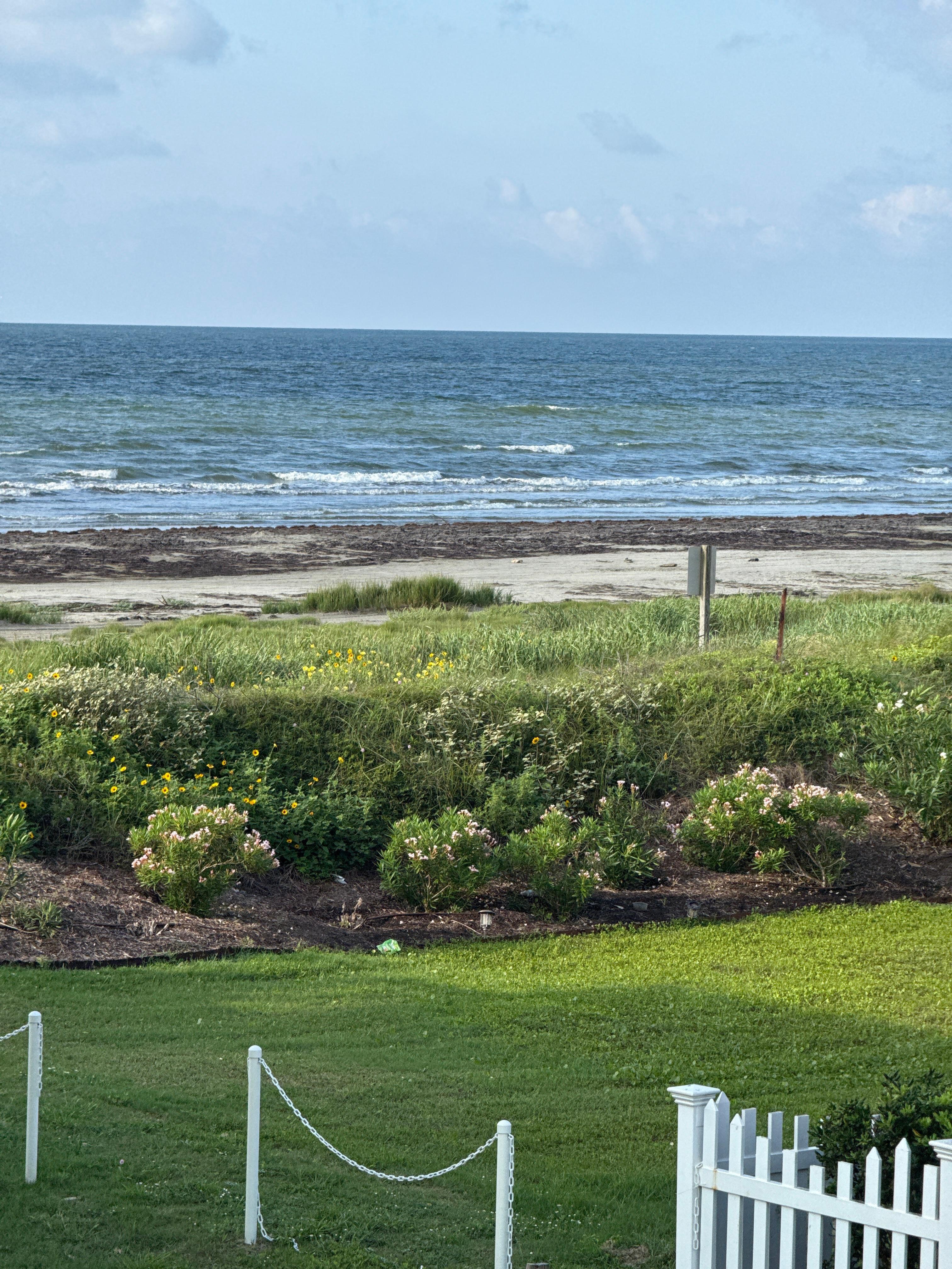 View from the porch